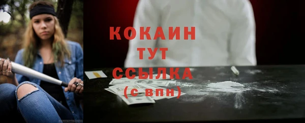 трава Пересвет