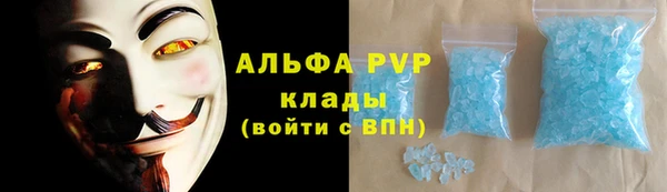 трава Пересвет