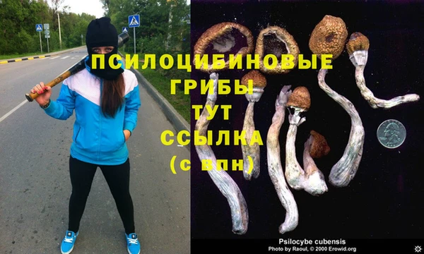альфа пвп Пролетарск