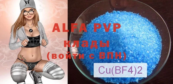 трава Пересвет