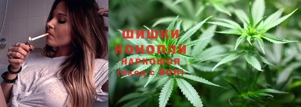 трава Пересвет