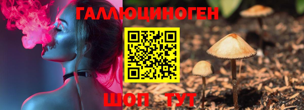 Галлюциногенные грибы Cubensis  Вход с VPN  Псилоцибиновые грибы прущие грибы  Сарапул 